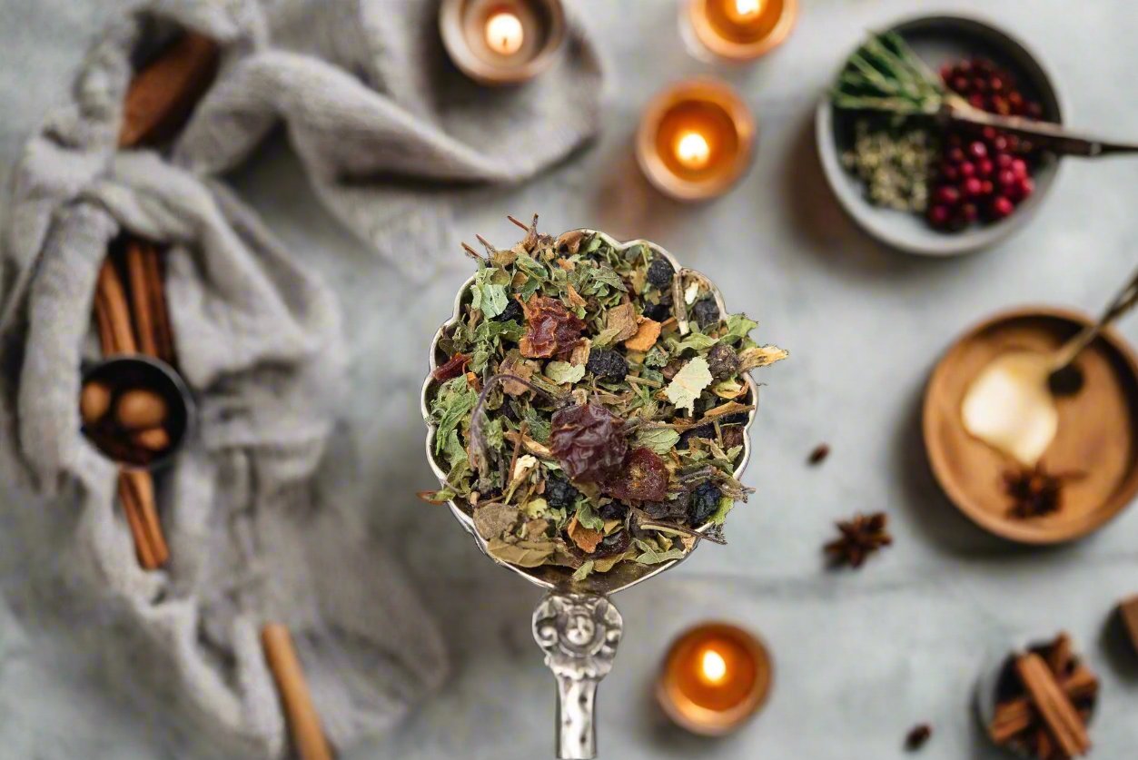 Wellness Herbal Tea – Seasonal Support with Elderberry, Echinacea & Rose Hip | New Moon Botanicals