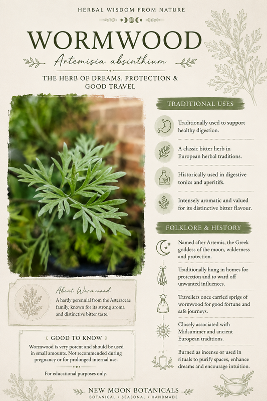 Wormwood (Artemisia absinthium): History, Traditional Uses, Phytochemistry, Folklore & Growing Guide