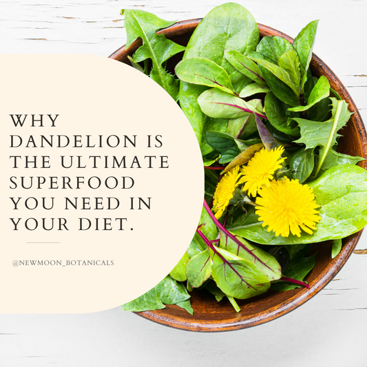 Why Dandelion is the Ultimate Superfood You Need in Your Diet