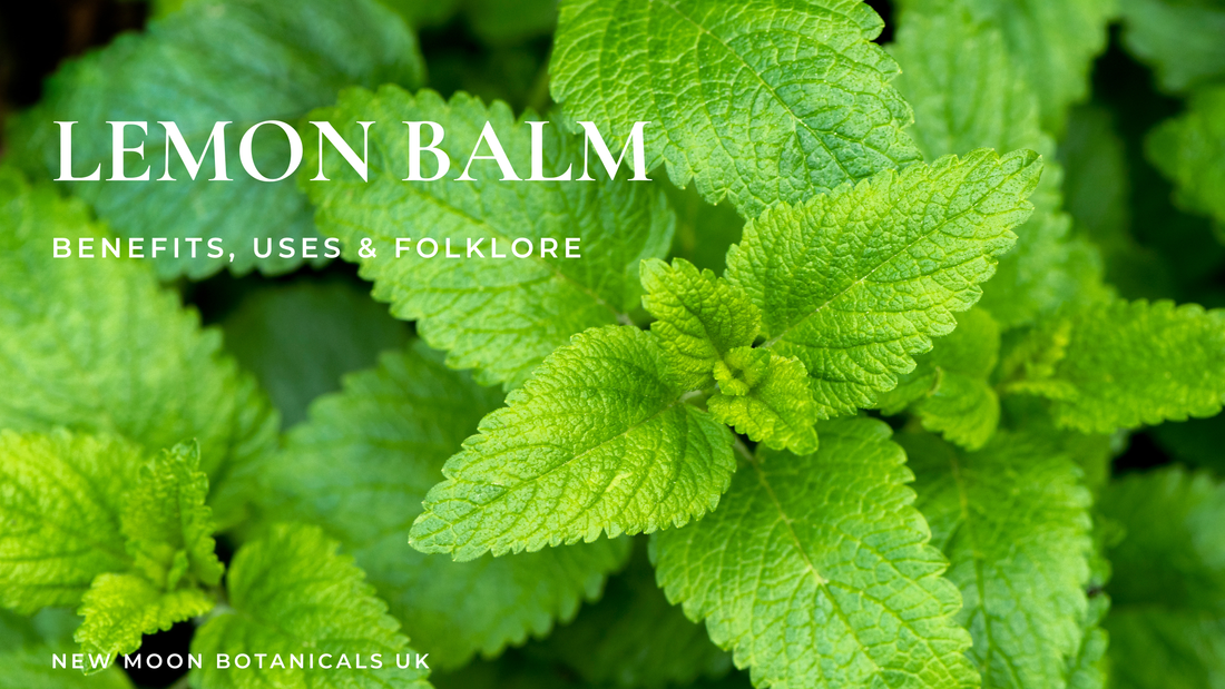 Lemon Balm Tea Benefits & Uses for Stress, Sleep & Digestion