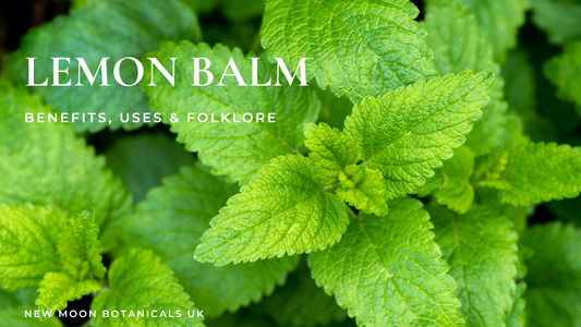 Lemon Balm Tea Benefits & Uses for Stress, Sleep & Digestion