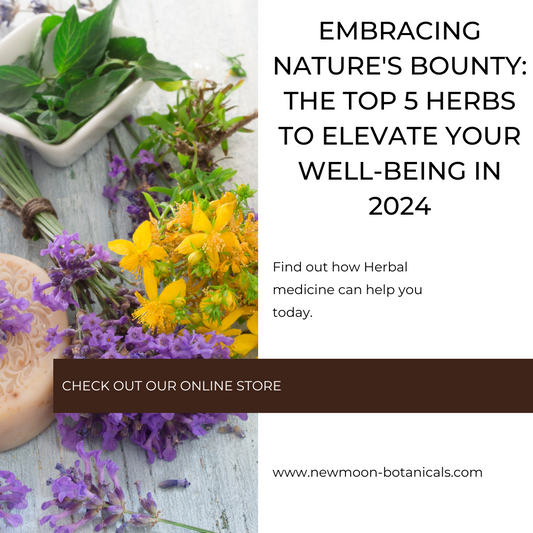 Embracing Nature's Bounty: The Top 5 Herbs to Elevate Your Well-being in 2024