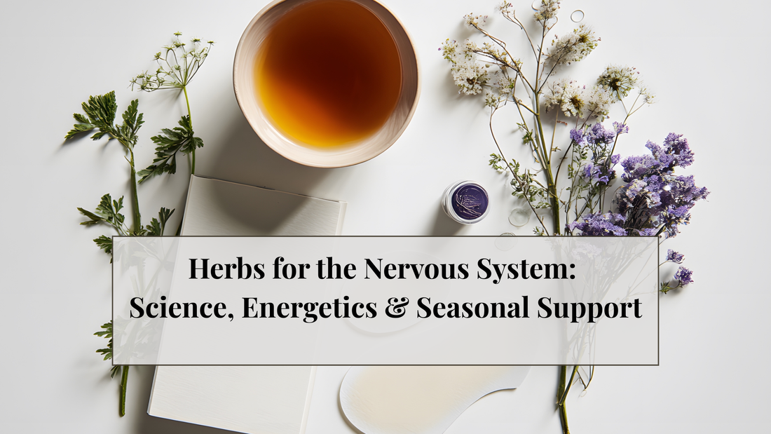 Herbs for the Nervous System: Science, Energetics & Seasonal Support
