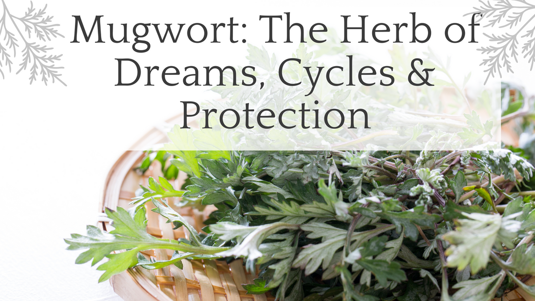 Mugwort herb