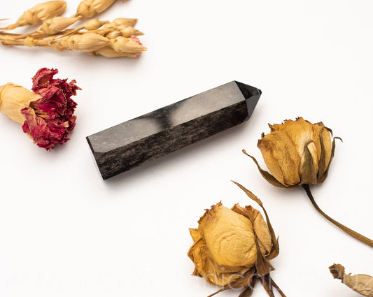 Black Obsidian Polished Gemstone