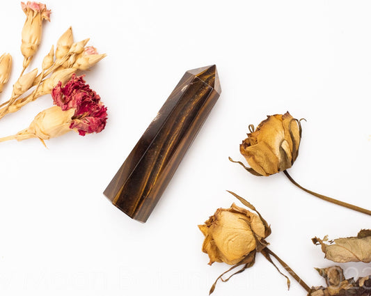 Tiger's Eye Polished Gemstone